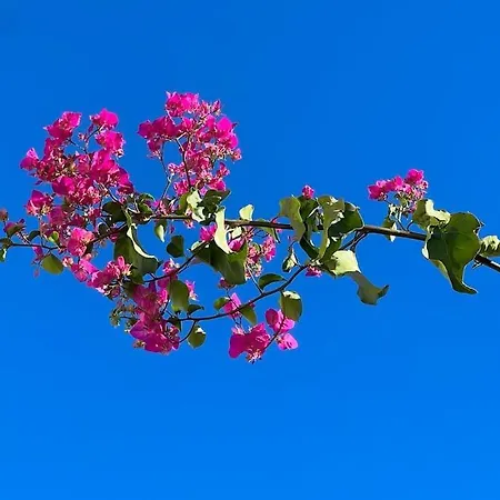 Club Salino 18 Appartement *