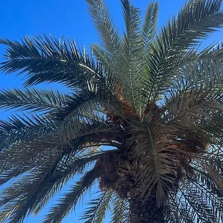 Club Salino 18 * טורבייחה