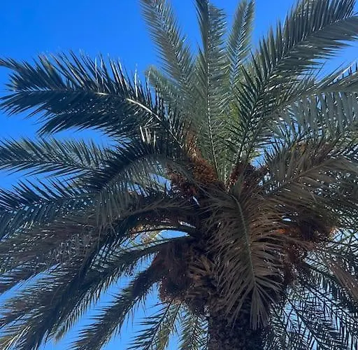 Club Salino 18 * Torrevieja